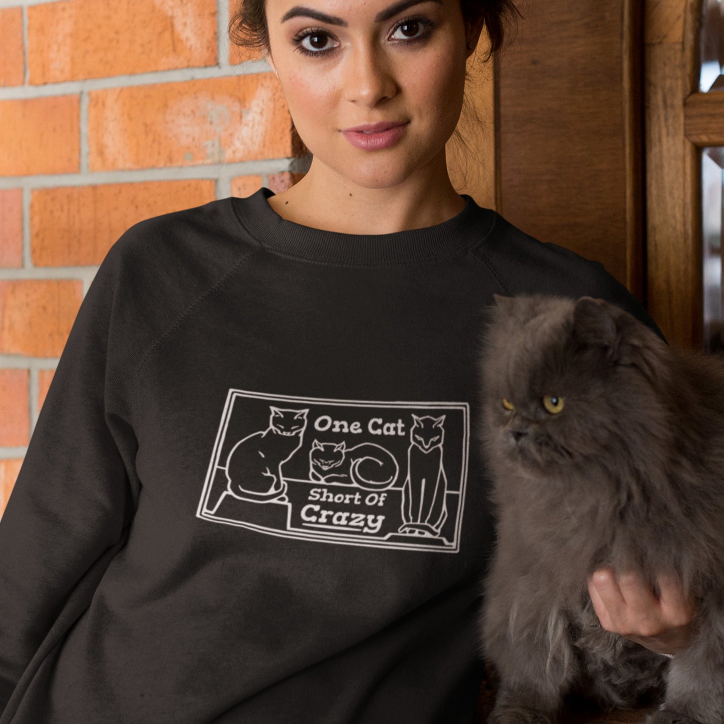 One Cat Short of Crazy Unisex Heavy Blend Crewneck Sweatshirt - for cat lovers - dark sweatshirt version