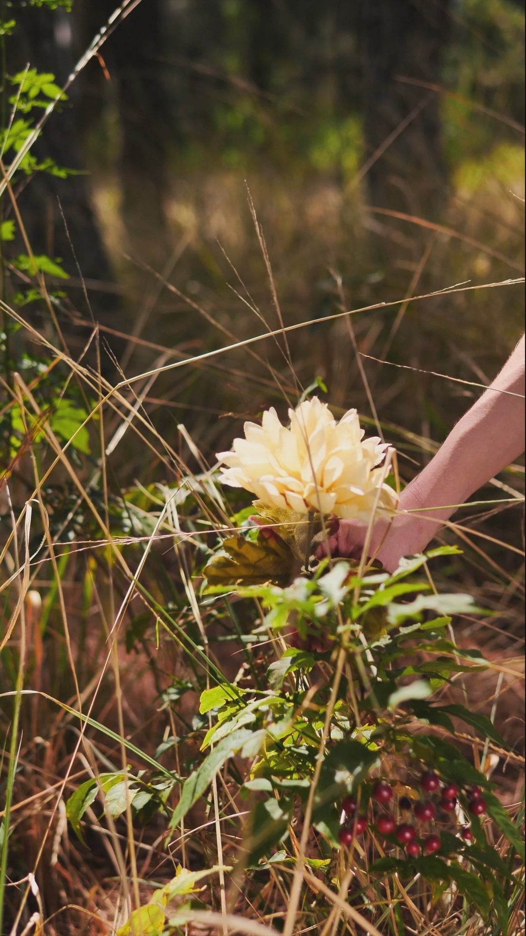 Country Livin' Short-Sleeve Dark Color Unisex T-Shirt, Sleeping Dog in Adirondack Chair