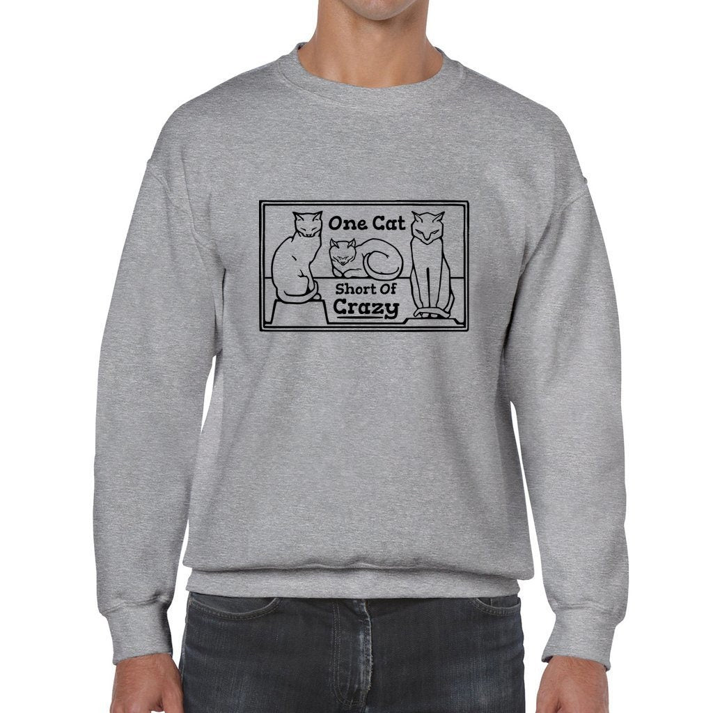 One Cat Short of Crazy Unisex Heavy Blend Crewneck Sweatshirt - for cat lovers
