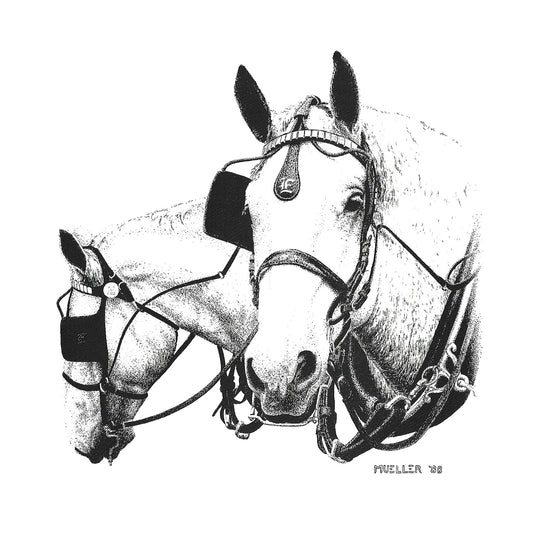 Two Horses Pen and Ink art print, Handmade drawing, Unframed