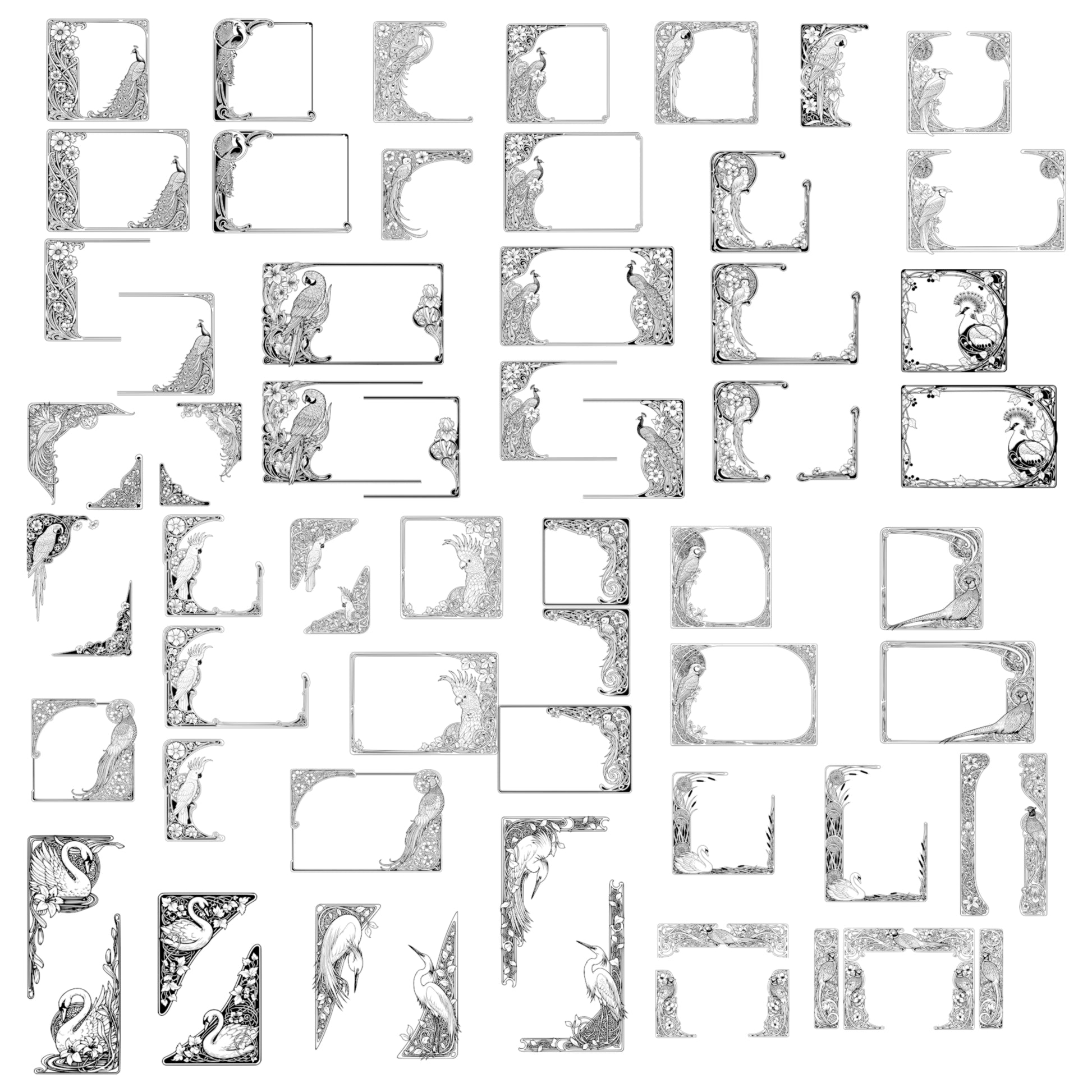 Exotic Birds Page Borders - Vintage Clipart, SVG, PNG (Digital Download), Peacock, Parrot, Cockatoo, more