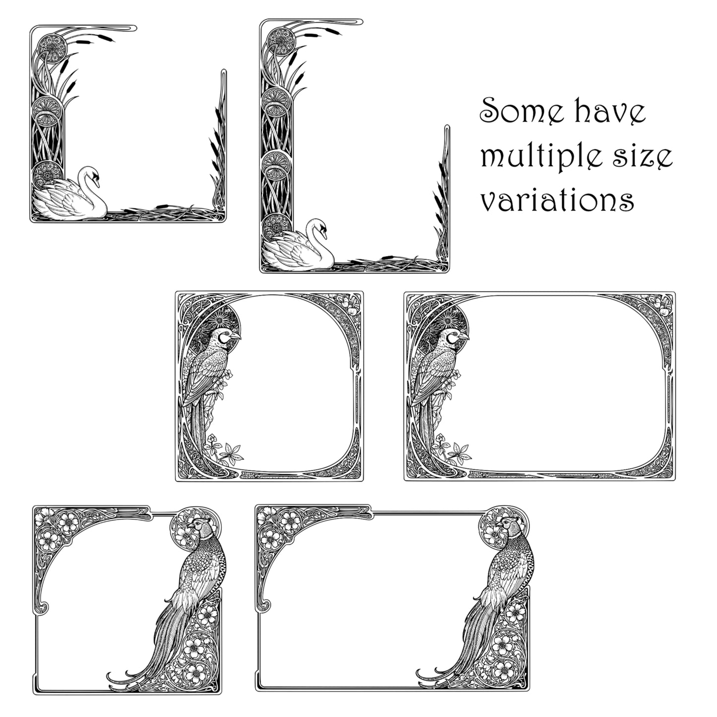 Exotic Birds Page Borders - Vintage Clipart, SVG, PNG (Digital Download), Peacock, Parrot, Cockatoo, more