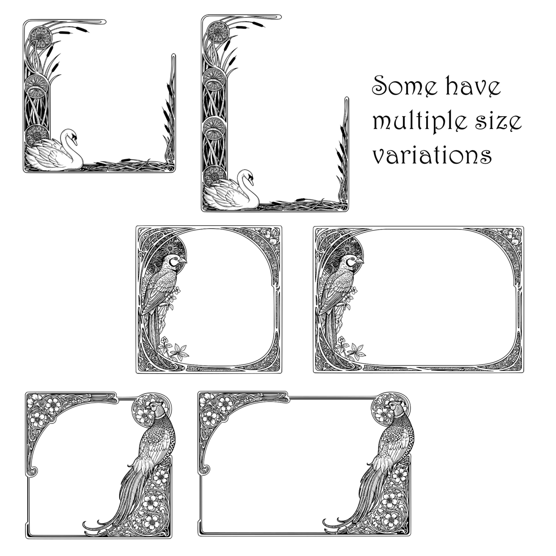 Exotic Birds Page Borders - Vintage Clipart, SVG, PNG (Digital Download), Peacock, Parrot, Cockatoo, more