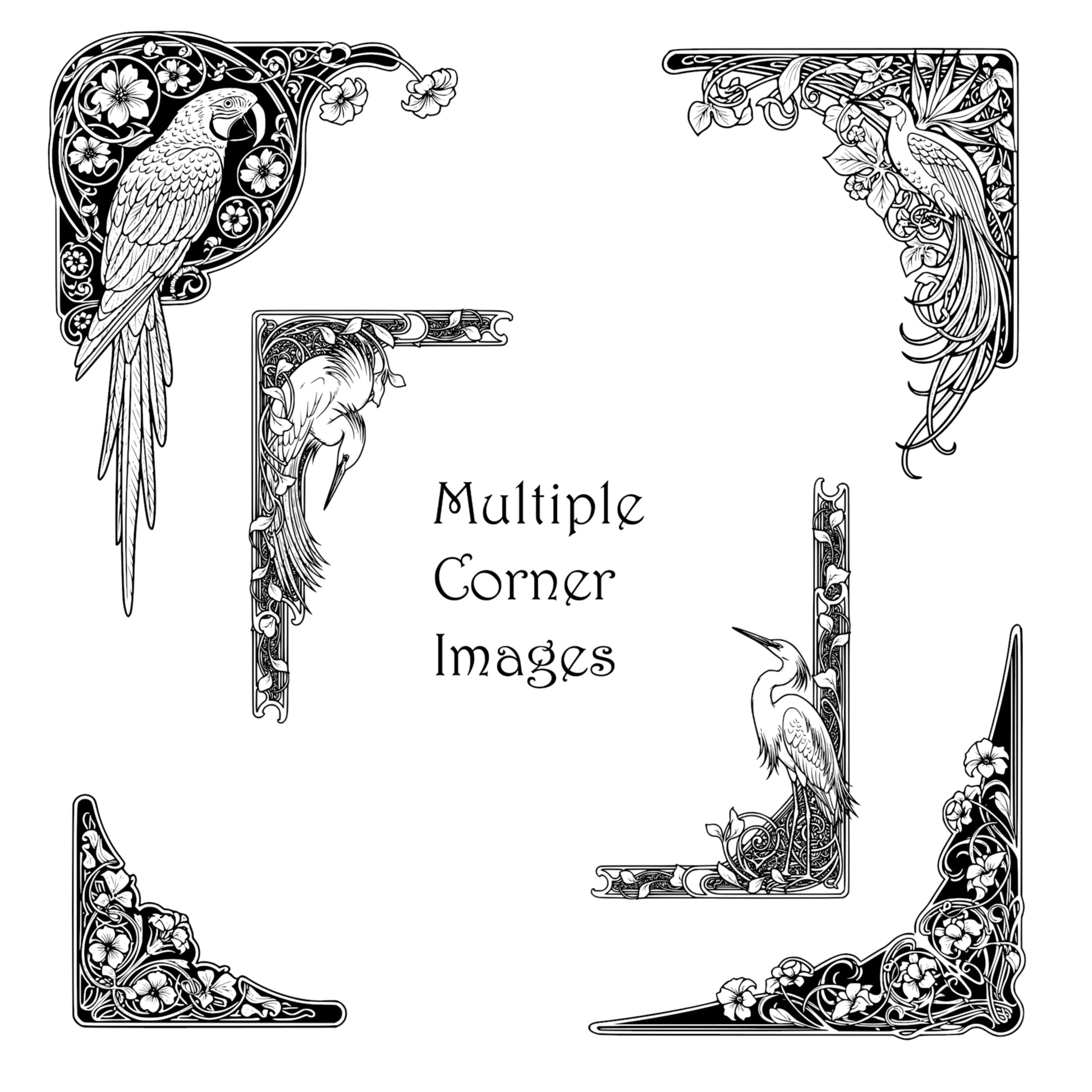 Exotic Birds Page Borders - Vintage Clipart, SVG, PNG (Digital Download), Peacock, Parrot, Cockatoo, more
