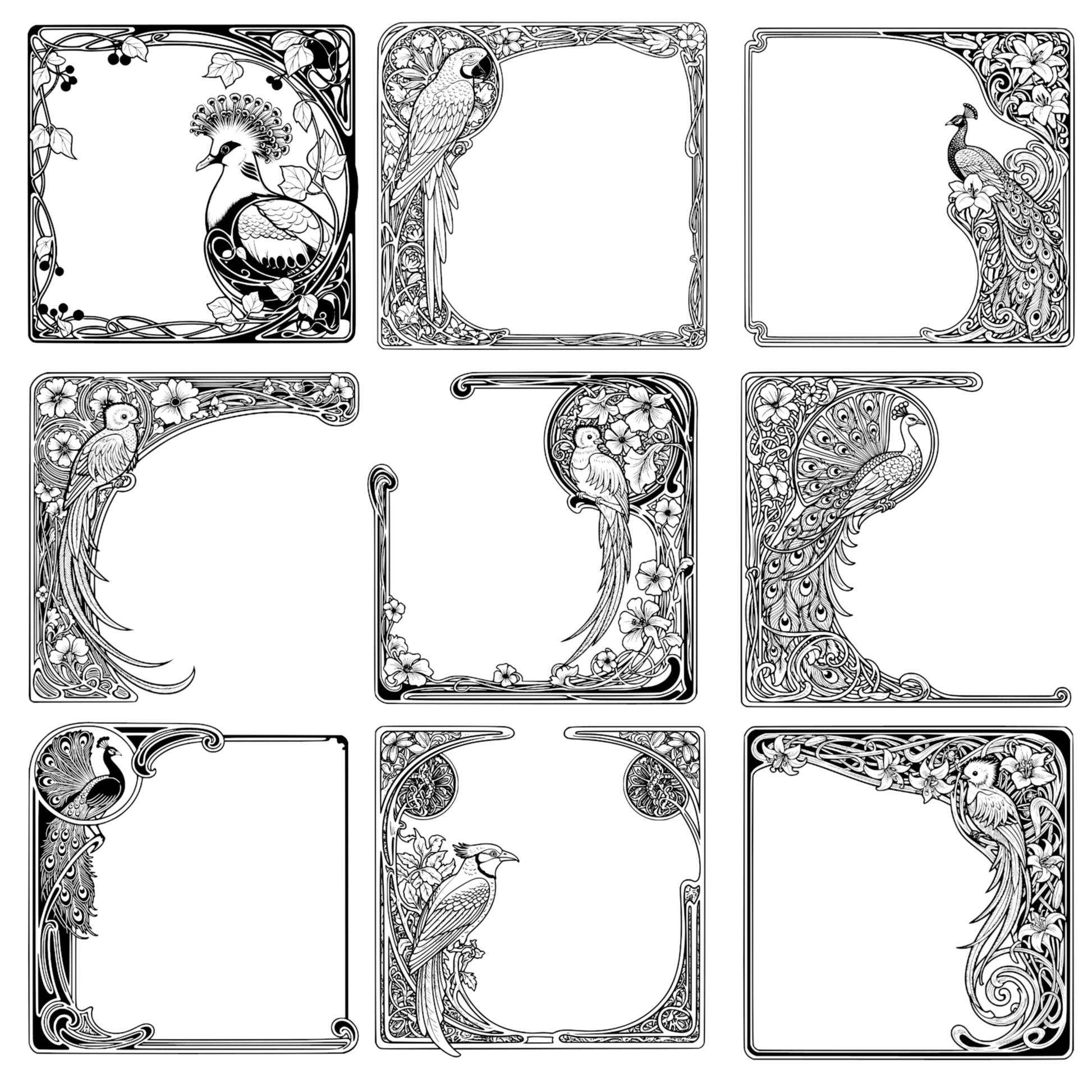 Exotic Birds Page Borders - Vintage Clipart, SVG, PNG (Digital Download), Peacock, Parrot, Cockatoo, more