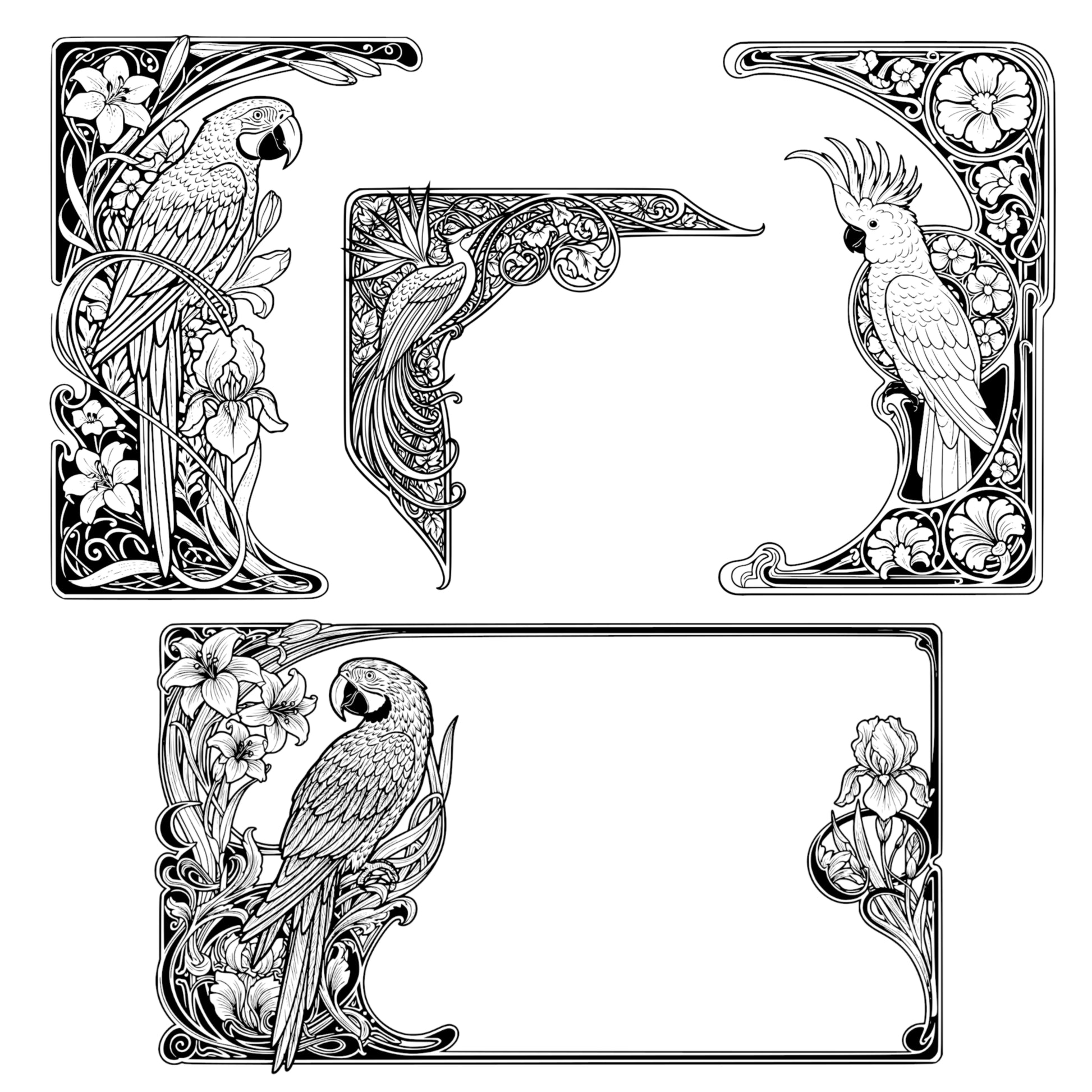 Exotic Birds Page Borders - Vintage Clipart, SVG, PNG (Digital Download), Peacock, Parrot, Cockatoo, more