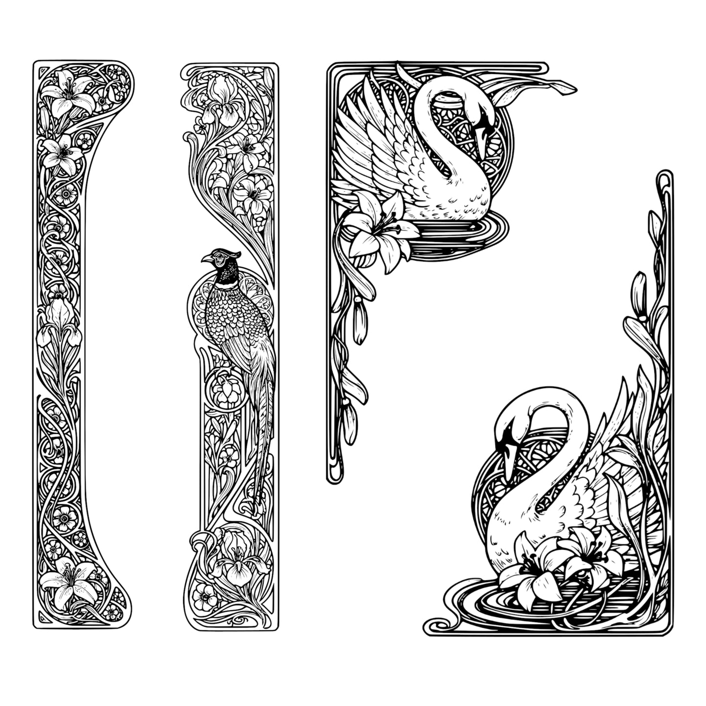 Exotic Birds Page Borders - Vintage Clipart, SVG, PNG (Digital Download), Peacock, Parrot, Cockatoo, more
