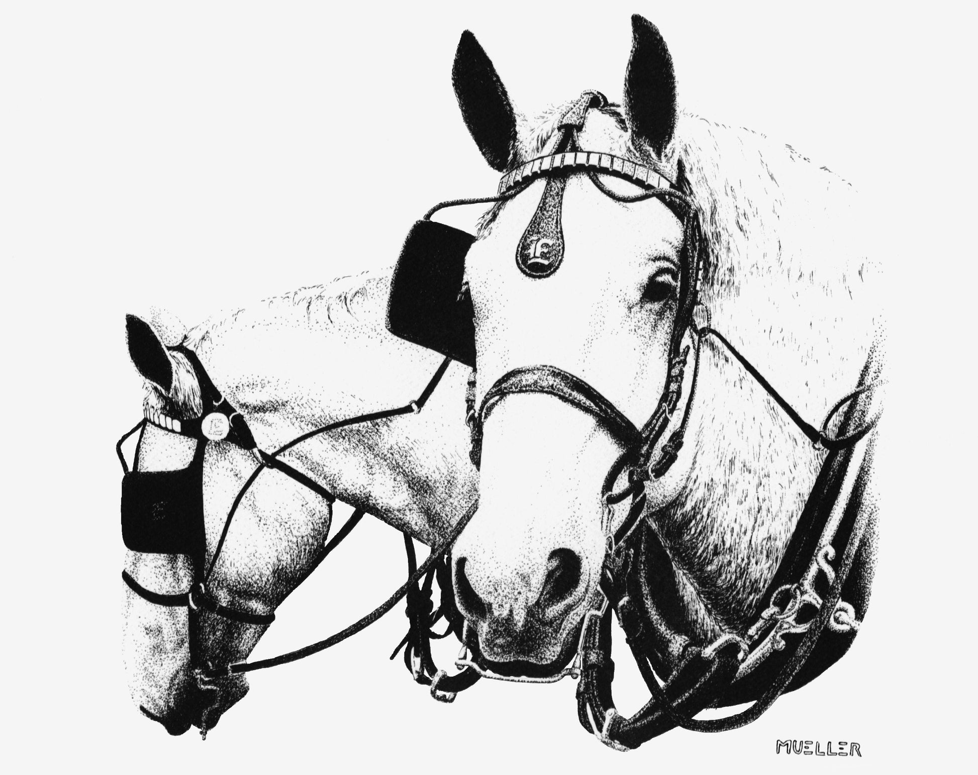 Two Horses Pen and Ink art print, Handmade drawing, Unframed