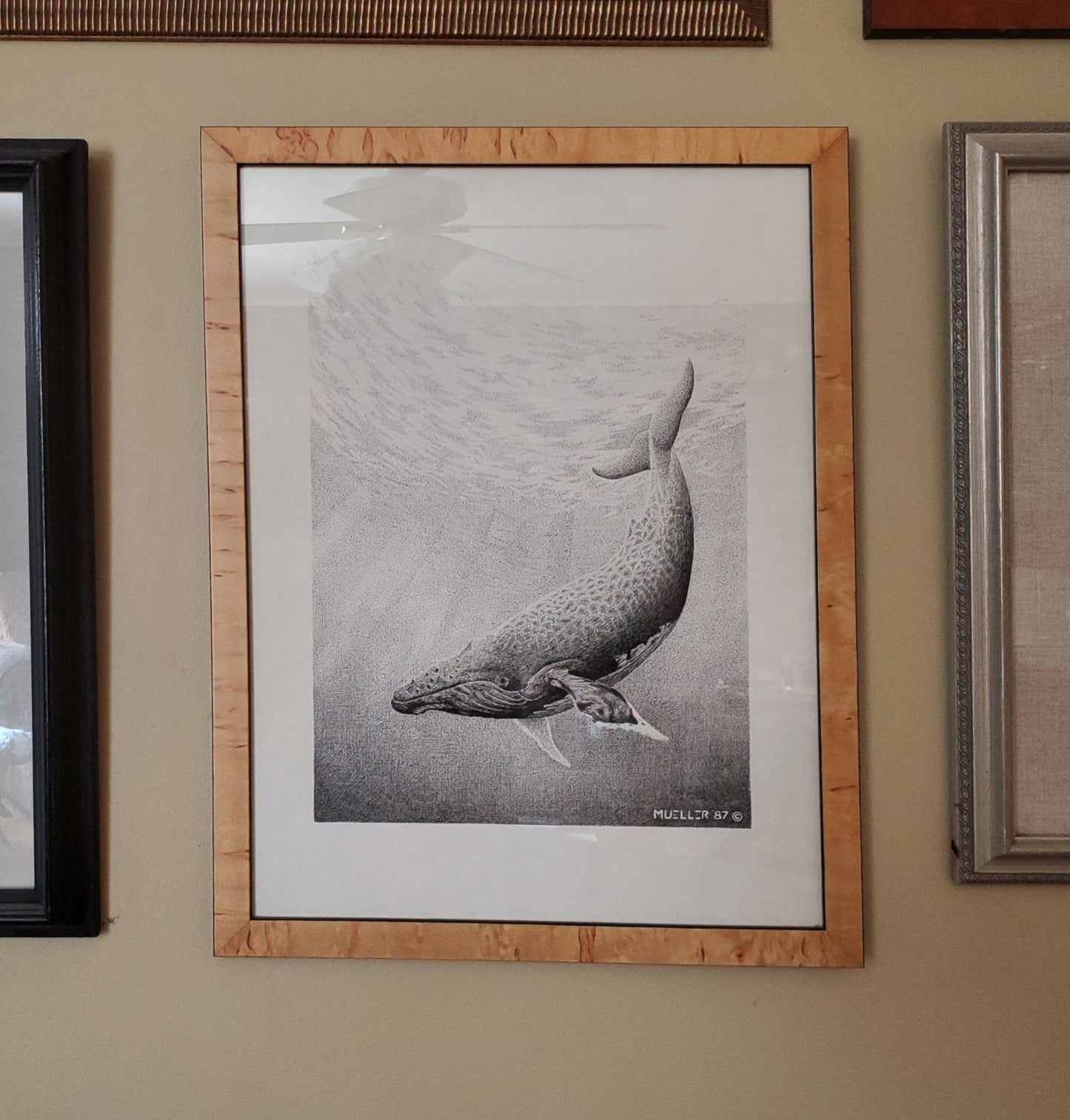 Humpback Whale Pen and Ink Drawing Wall Art, 9" x 12" Unframed, Original hand drawn artwork.