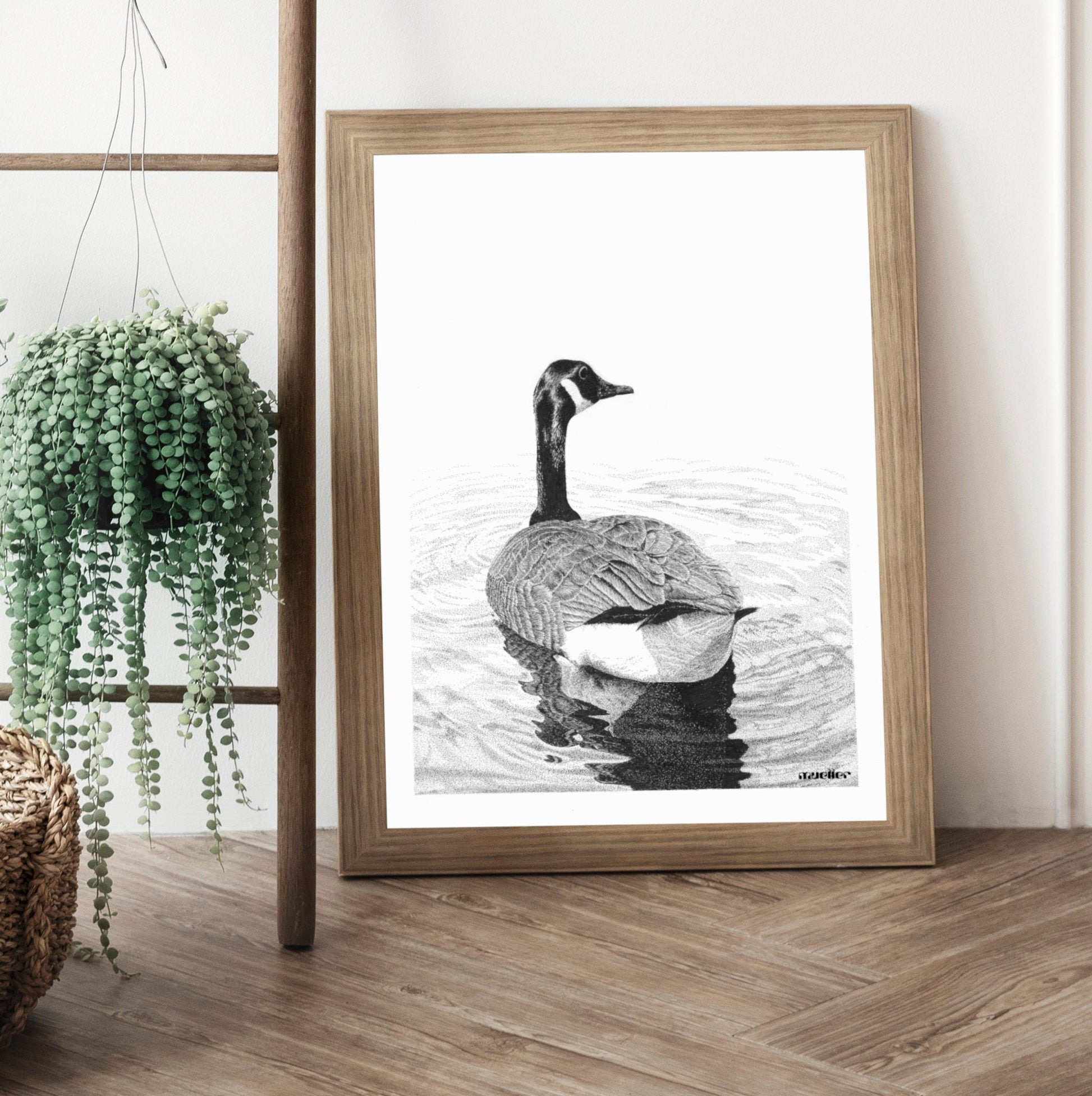 Canada Goose Pen and Ink Drawing Wall Art, 8.5" x 11" Unframed, Original hand drawn artwork.