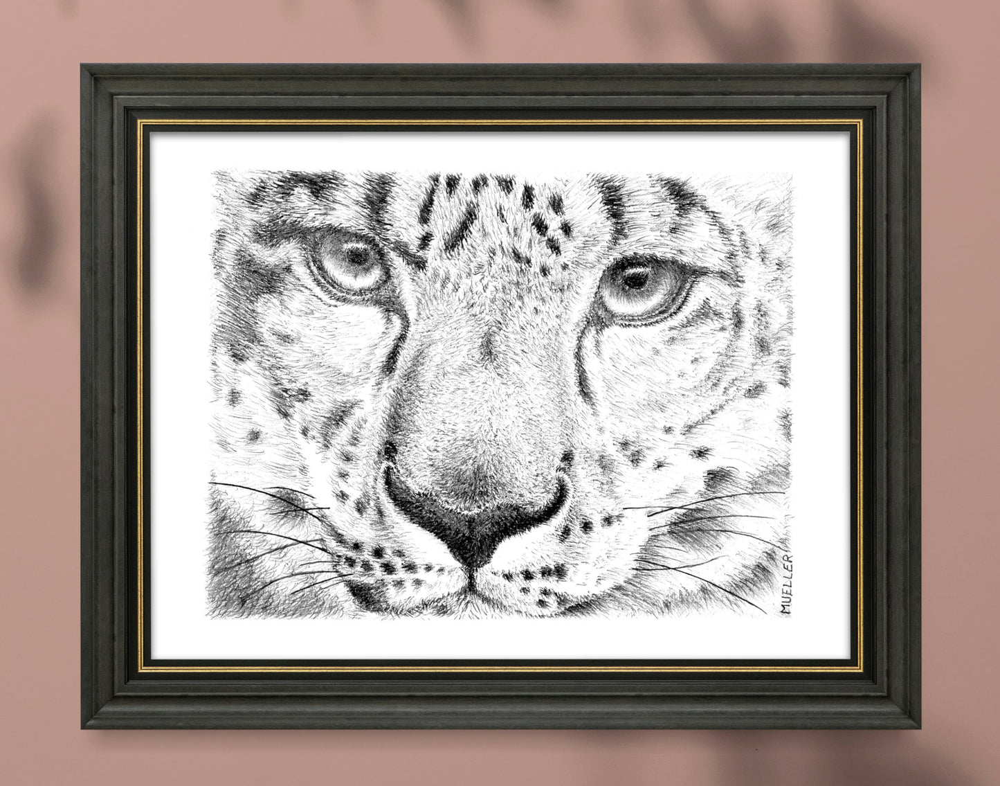 Snow Leopard Pencil Drawing Wall Art, 6.5" x 8.5" Unframed, Original hand drawn artwork.